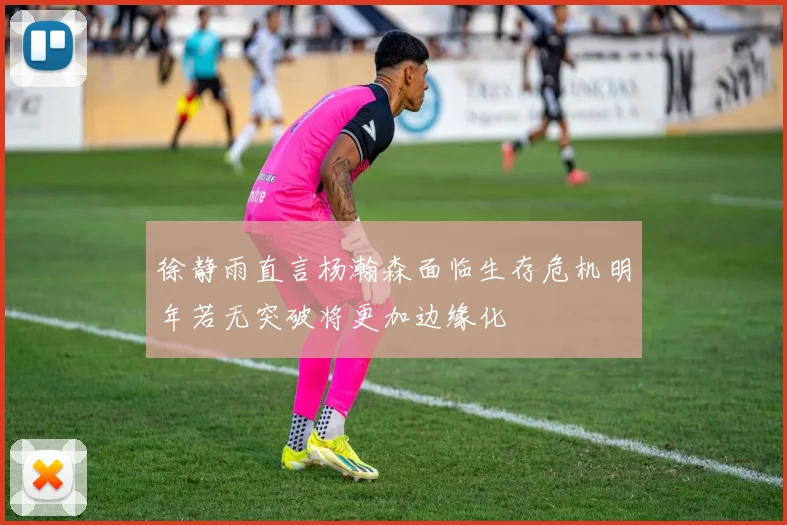 徐静雨直言杨瀚森面临生存危机明年若无突破将更加边缘化
