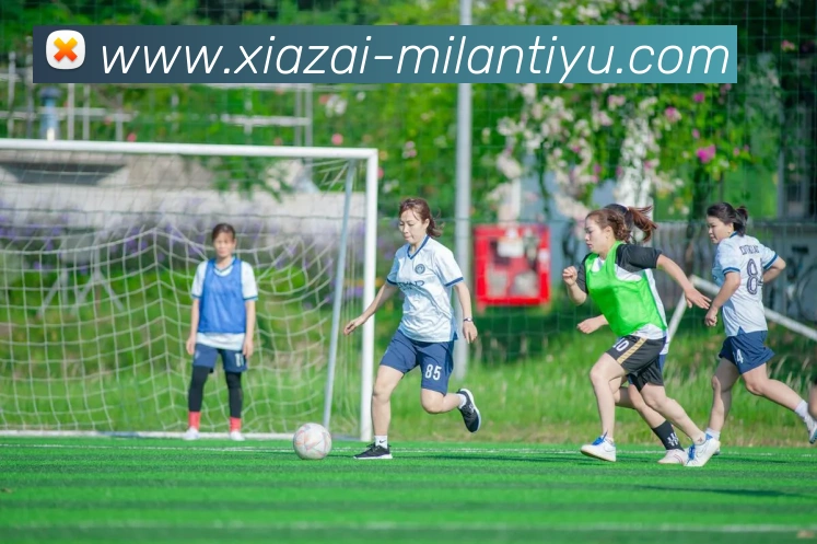 米兰体育APP 封面图